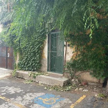 Araucaria * تروبيا