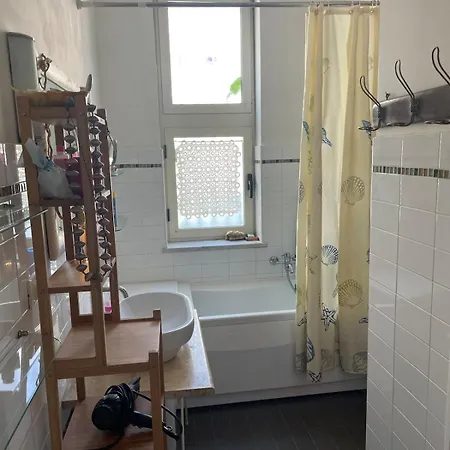 Araucaria تروبيا